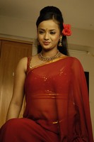 Tanu Roy Hot Saree Photos